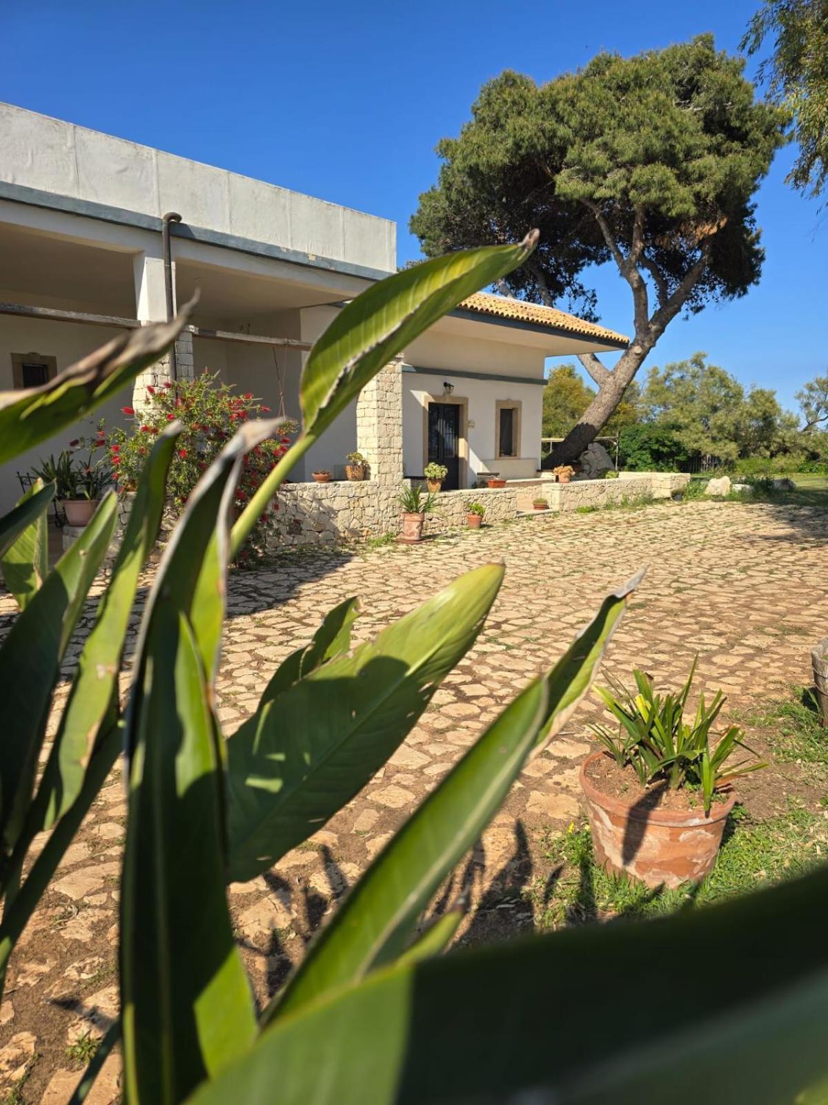 B&B Casa Cavarra Portopalo Di Capo Passero Exterior foto